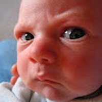 Profile Picture of Steven Pelchat (@steven-pelchat-1) on Quora
