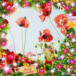 Profile Picture of Janet TeeterHamlin (@Janet-Teeter-Hamlin) on Facebook