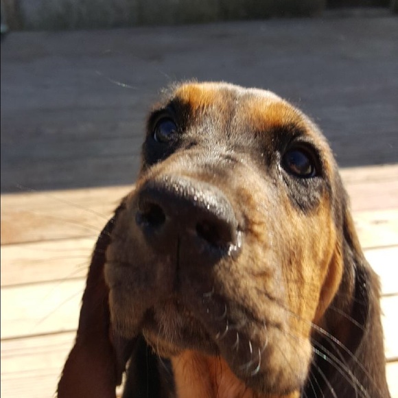 Profile Picture of Andrew Franks (@andrewfranks234) on Poshmark