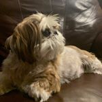 Profile Picture of Aaron Sieg (@aaronsieg) on Instagram