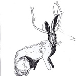 Profile Picture of Daniela Rodrigues (@daniela---) on Flickr