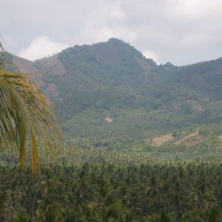 Profile Picture of Sahar Erbeth (@sahar.erbeth) on Facebook