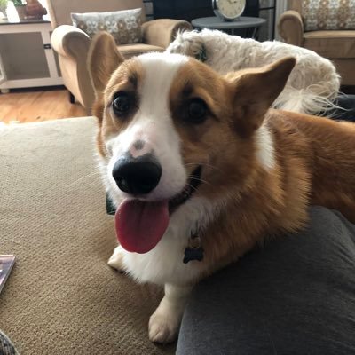 Profile Picture of Lisa Blair-Rogers (@LisaBlairRoger2) on Twitter