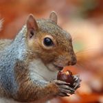 Profile Picture of jeremy pilon (@jay_pilon_____________) on Instagram