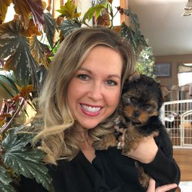 Profile Picture of Bree Peterson (@breeepeterson) on Pinterest