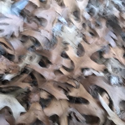 Sa - Twitter Profile Picture of Sa (@steve_avery617) on Twitter