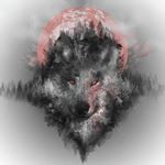 Profile Picture of Andrew Kinnamon (@shadowwolf5135) on Instagram