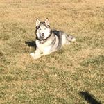 Profile Picture of Daniel Koehne (@daniel.koehne.33) on Instagram