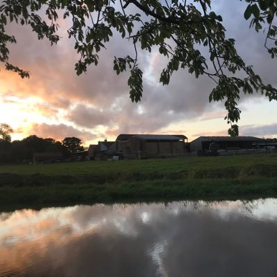 Profile Picture of Ben Hollands (@benhollands3) on Twitter