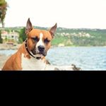 Profile Picture of ralph_nichols2 (@ralph_nichols2) on Instagram