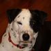 Profile Picture of Rose Timmer (@ctimm1202) on Pinterest