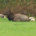 Profile Picture of Aaron Krull (@aaronkrull) on Instagram