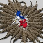 Profile Picture of Marshall D Teach (@salvador.cerenzakeepers) on Facebook