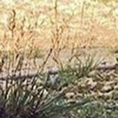 Wasuh Dude - Twitter Profile Picture of Wasuh Dude (@James_Loven_) on Twitter