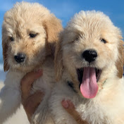 AMY SERKEDAKIS - Youtube Profile Picture of AMY SERKEDAKIS (@amyserkedakis5266) on Youtube