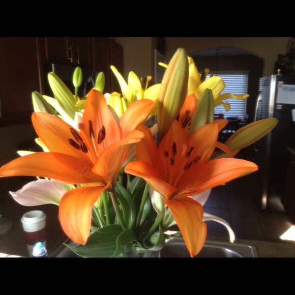 Profile Picture of Marisol Gensamer (@mgensamer) on Poshmark