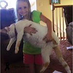 Profile Picture of Lee Ann Maley Ferguson (@lee.maleyferguson) on Instagram