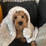 Profile Picture of Morgan Jacobson (@mo_jacobson8517) on Instagram