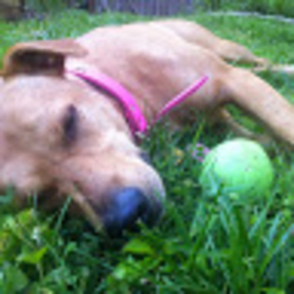 Profile Picture of Paul Baudier (@paulbaudier) on Poshmark