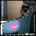 Profile Picture of Danielle Moorman (Babygirl) (@danielle.moorman.73) on Facebook