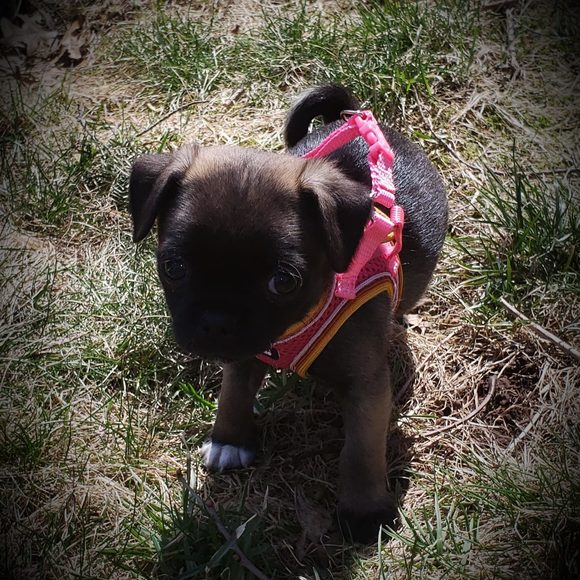 Profile Picture of Jackie Glicklin (@jglicklin84) on Poshmark