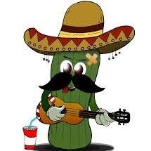 Profile Picture of Steven Schermerhorn (@stevenschermerhorn) on Pinterest