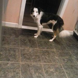 Stephen Laverty - Twitter Profile Picture of Stephen Laverty (@stephenclavert) on Twitter