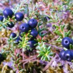 Profile Picture of Shaughn (@shaughnmarilli) on Instagram