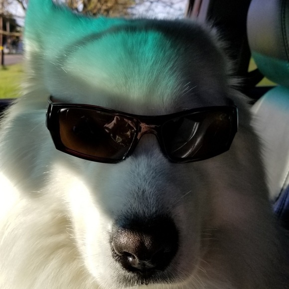 Profile Picture of Bryan Stanley (@bryanbks29) on Poshmark