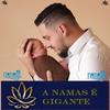 Profile Picture of Andrei Reichert (@andrei.reichert) on Tiktok