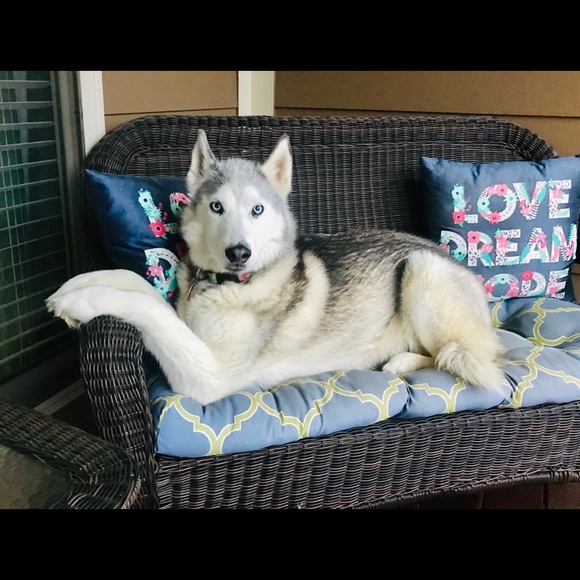 Profile Picture of Kim Hennessy (@kimgarrison123) on Poshmark