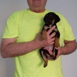 Profile Picture of John Seifert (@seifert_john) on Twitter