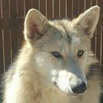 Profile Picture of Jd Ramsey (@jerryramsey450) on Instagram