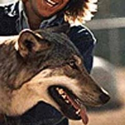 Profile Picture of John Gimpl (@Wolphboy) on Twitter