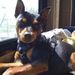 Profile Picture of John Kohler (@bkohler143) on Pinterest