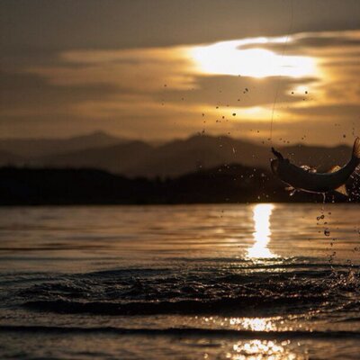 Profile Picture of Keith Ferreri (@kferreri22) on Twitter