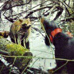 Profile Picture of Cody Lashen (@cody_lashen) on Instagram