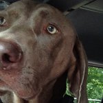 Profile Picture of Brian Cahill (@bcahill6) on Instagram