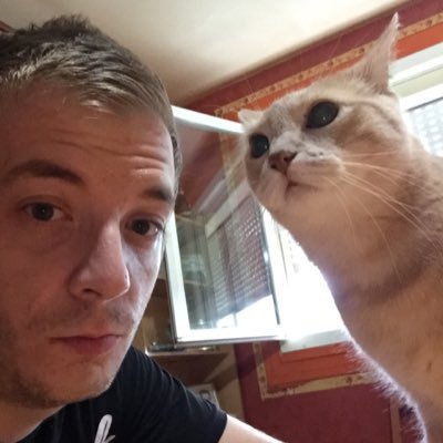 Profile Picture of Steven Romain (@stevenromain6) on Twitter