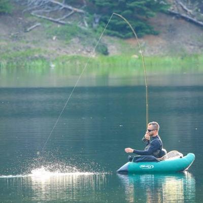 Profile Picture of Greg Baumgartner (@gbaumer) on Twitter