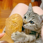 Profile Picture of Steve Lau (@SteveLau1675) on Youtube