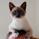 Profile Picture of keith peacock (@peacock.keith) on Instagram