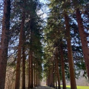 Profile Picture of Shon Daniel (@ShonDaniel2) on Twitter