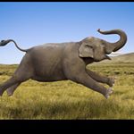 Profile Picture of Lucille Anderson Wallen (@lucille_anderson_wallen) on Instagram