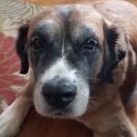 Profile Picture of Heather Porterfield (@mynameisalice101) on Instagram