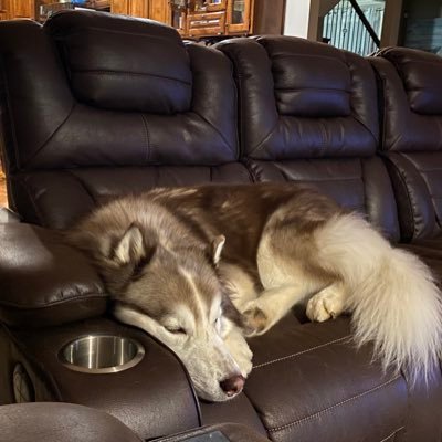 Profile Picture of Connie Papacek (@StaticRest) on Twitter