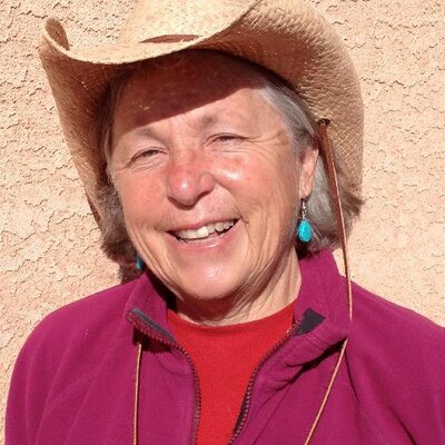 Profile Photo of Nancy Bo Flood (@nancyboflood) on Twitter