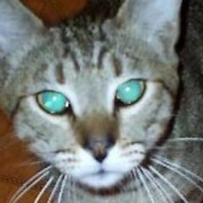 Profile Picture of Julio Esau Garces (@JulioEsau) on Twitter