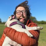 Brandon D Eisenberg - Instagram Profile Picture of Brandon D Eisenberg (@hikesoup) on Instagram