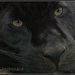 Profile Picture of Hope Bindler (@hbindler) on Pinterest